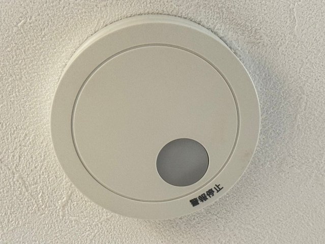�Ȗ،����R�s��k6���ڂ̒��È�ˌ��Ă̂��̑�