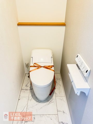 �Ȗ،����R�s�厚�_���J �̒��È�ˌ��Ẵg�C��
