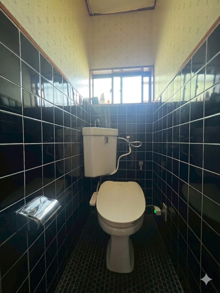 �Ȗ،��F�s�{�s�V���� ��1608-41�̒��È�ˌ��Ẵg�C��