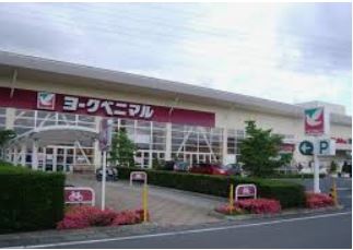 ��錧�É͎s�{��1���ڂ̒��Ã}���V�����̉摜