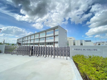  �y���w�Z�z�F�s�{�s���䂢�̓m���w�Z�܂�100��