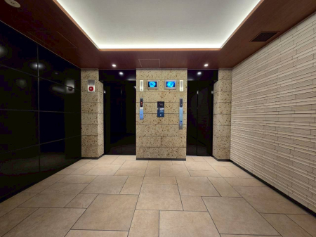 ���̑� ���p����