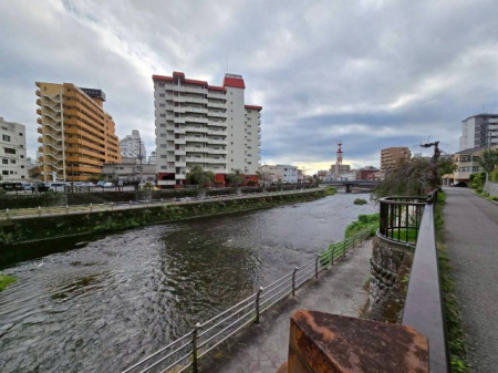 ���̑� ���̑�