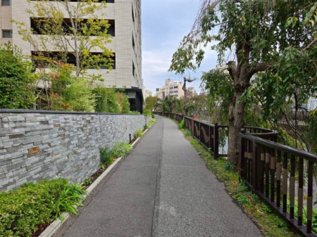 ���̑� ���̑�