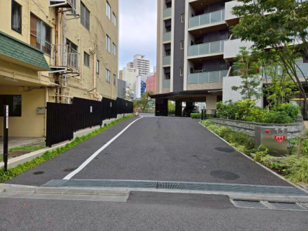 ���̑� ���p����