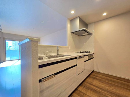 �L�b�`�� LDK�����n����Ζʎ��L�b�`���B�H��􊣑��@�E�f�B�X�|�[�U�[�����B