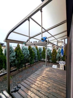 ���̑� ���̑�