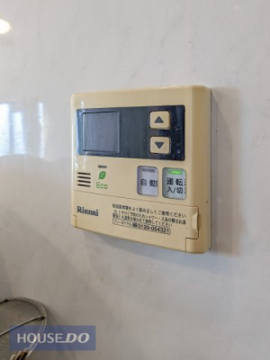 ���̑� ���̑�