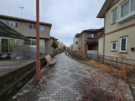 ���̑� ���̑�