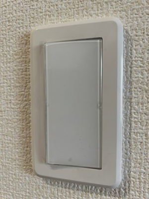 ���̑� �������C�h�X�C�b�`�i�ʐ^�͓��d�l�ʐ^�j