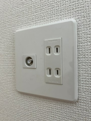 ���̑� �����R���Z���g�i�ʐ^�͓��d�l�ʐ^�j