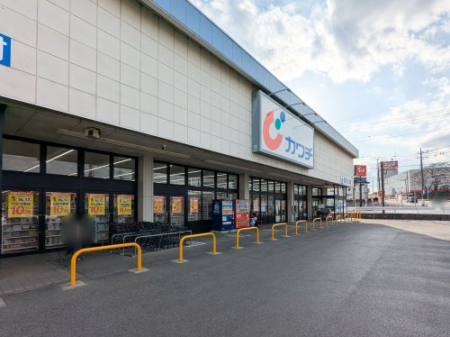  �y�h���b�O�X�g�A�z�J���`��i �^�����X�܂�912��