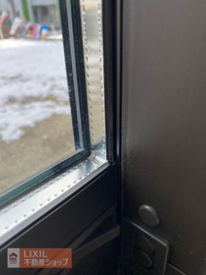 ���̑� �y�A�K���X�i�ʐ^�͓��d�l�ʐ^�j