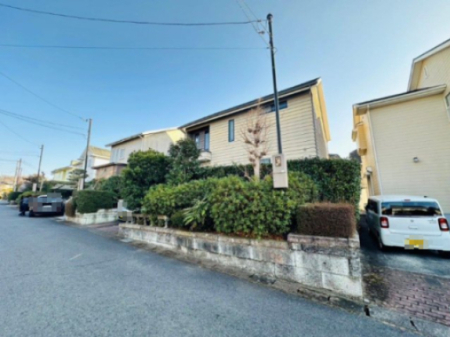 ���n�O�ώʐ^ �������������͋C�̊O�ςł�