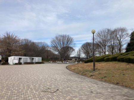  �y�����z�͓������^�������܂�7411��