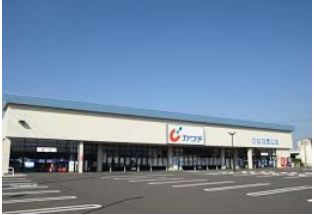  �y�h���b�O�X�g�A�z�J���`��i ��������̂܂����X�܂�575��