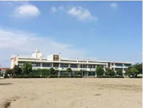  �y���w�Z�z�p�������r���w�Z�܂�542��