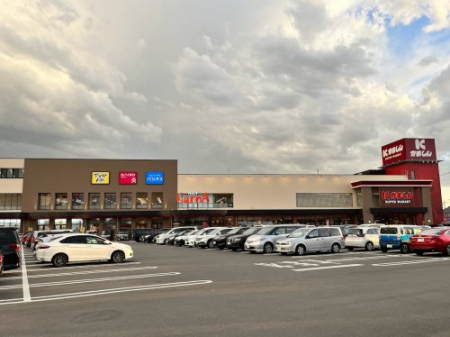  �y�V���b�s���O�Z���^�[�z���܂���J���i�w���X�܂�335��