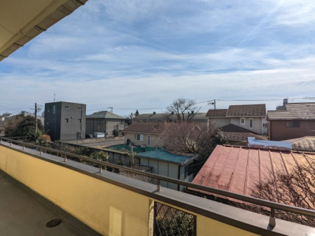 ���̑� �W�]