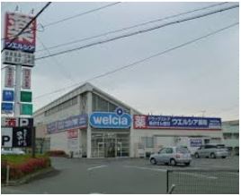  �y�h���b�O�X�g�A�z�E�G���V�A��ǉF�s�{�ˍՓX�܂�1175��