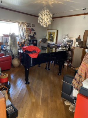 ���̑����� �h���ݔ��̑��ړI���B�ȑO�̓s�A�m�����ŗ��p���Ă���܂����B���͖��C�ނ��g�p�B