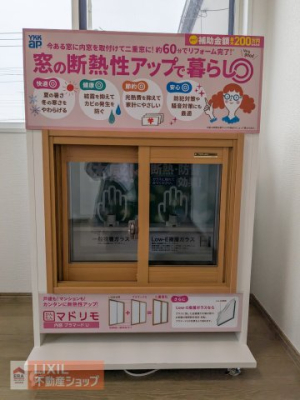 ���̑� ���n�����ʐ^