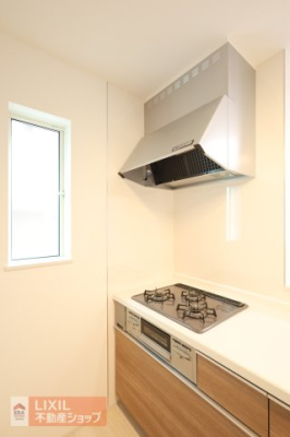 ���̑����� ���n�����ʐ^