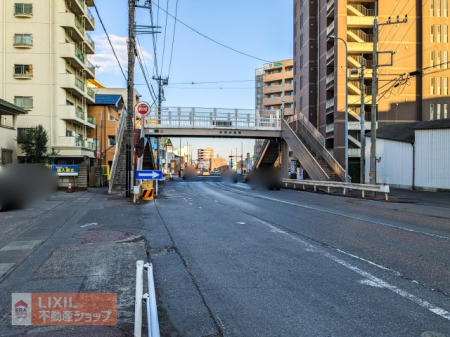 ���̑� ���̑�