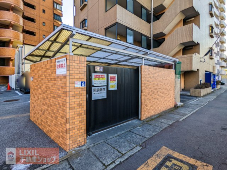 ���̑� ���̑�