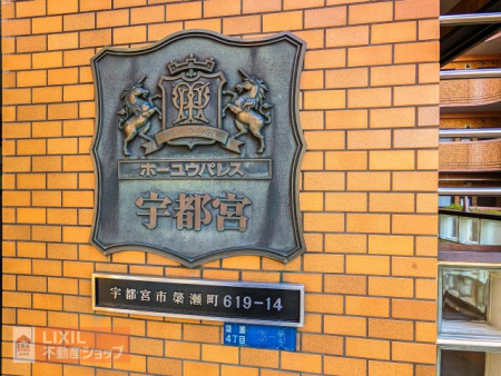 ���̑� ���̑�