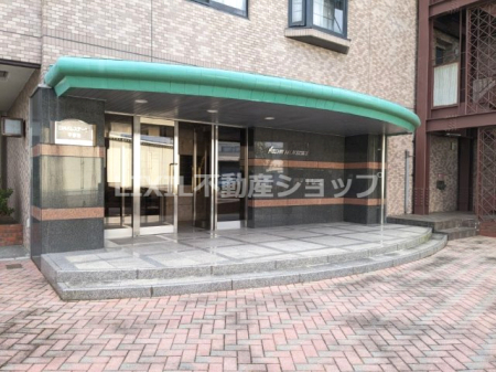  �������Ƃ����G���g�����X