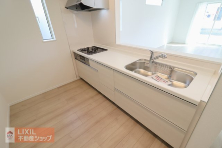 ���̑����� ���n�����ʐ^�B�g���₷���L�߂̃V���N��