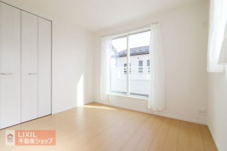  ���n�����ʐ^�B���邢�̌��̓����Q���ł��B