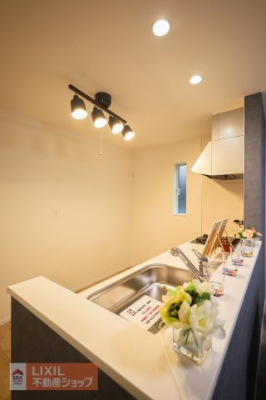 ���̑����� ���n�����ʐ^