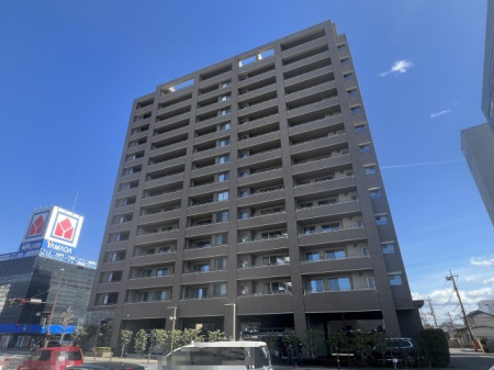 ���n�O�ώʐ^ ������̐�捂ɉf����A�[���ȃt�H�����B�Z�܂��ւ�𕨌��A�C�i�ɖ������Ȃ܂��B