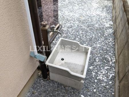 ���̑� ���̑�