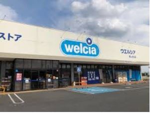  �y�h���b�O�X�g�A�z�E�G���V�A��ǔ������u�X�܂�464��