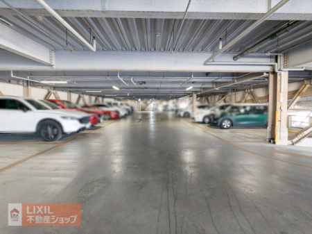  �h���̓V�G�ł��钼�˓����i���O���j��_���J�A���̕��Q���V���b�g�A�E�g�B��Ԃ̎�Ԃ����炵�A���Ԃ̎��Y���l�𒷂��������ۂ��܂��B