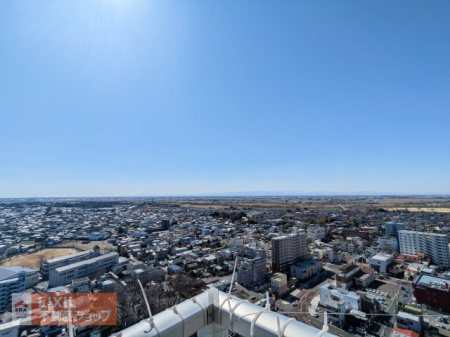 ���̑� ���͂̌����ƈ�����悷���������ݏo���A�B�ꖳ��̒��]���Y�B��x��ɓ����Ες�邱�Ƃ̂Ȃ����̌i�F���A���X�̕�炵�ɕi�i�ƌւ��^���Ă���܂��B�A�v��KOGA�����炱�����������A���Ɛ肷���炵�B