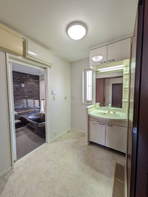  ���ʏ���������2��������o���A�t���[�d�l�ł�