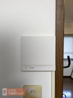 ���̑� ���g�[�S��������