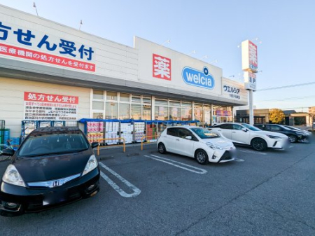  �y�h���b�O�X�g�A�z�E�G���V�A��ǉF�s�{�����{���X�܂�1374��