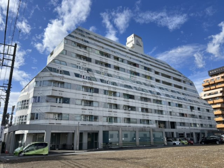 ���n�O�ώʐ^ �����I�ȃt�H�����̃}���V�����ł�