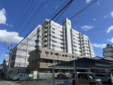 ���n�O�ώʐ^ �傫�ȑD�̂悤�ȊO��