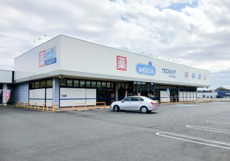  �y�h���b�O�X�g�A�z�E�G���V�A��ǔ������u�X�܂�290��