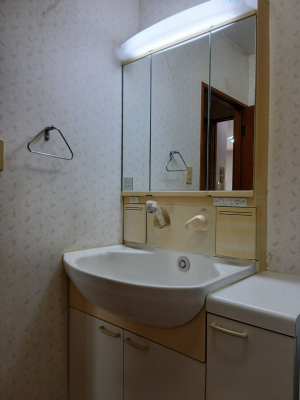 ���ʑ�E���ʏ� �y�������ʉ��ϑ�^���n�ʐ^�z�O�ʋ��^�C�v�̓Ɨ����ʑ�ł��B���̗��͎��[�ɂȂ��Ă���A�֗��ł��B