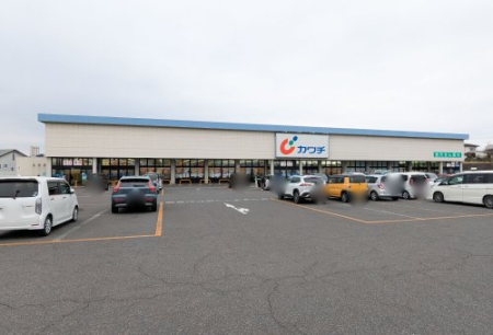  �y�h���b�O�X�g�A�z�J���`��i �ˍՖk�X�܂�2756��