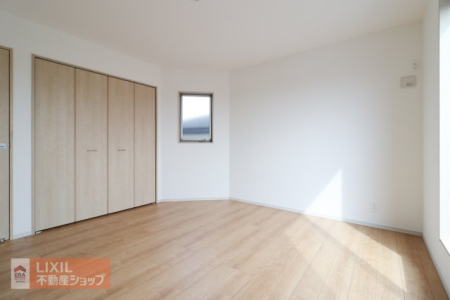  ���n�����ʐ^�B���邢�̌��̓����Q���ł��B