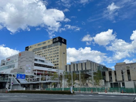  �y���̑��z�E�c�m�~���e���X�܂�4454��