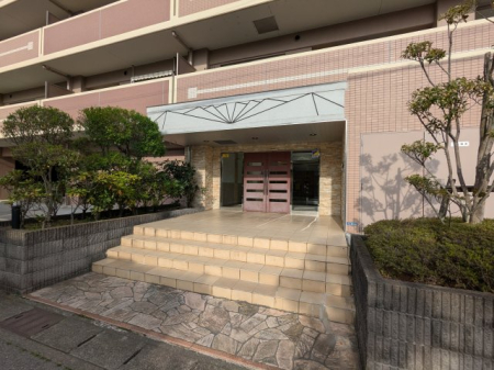  �}���V�����̓����